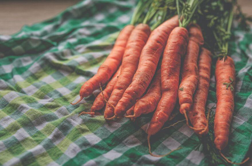 Homegrown carrots on a teatowel