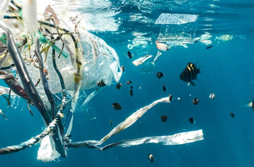 Ocean plastic pollution and juvenile fish