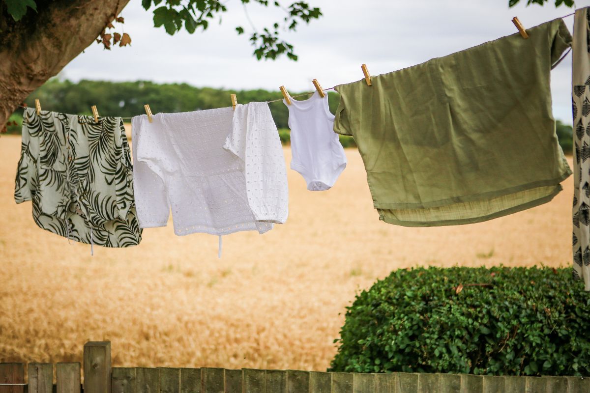 bamboo clothes pegs on a washing line