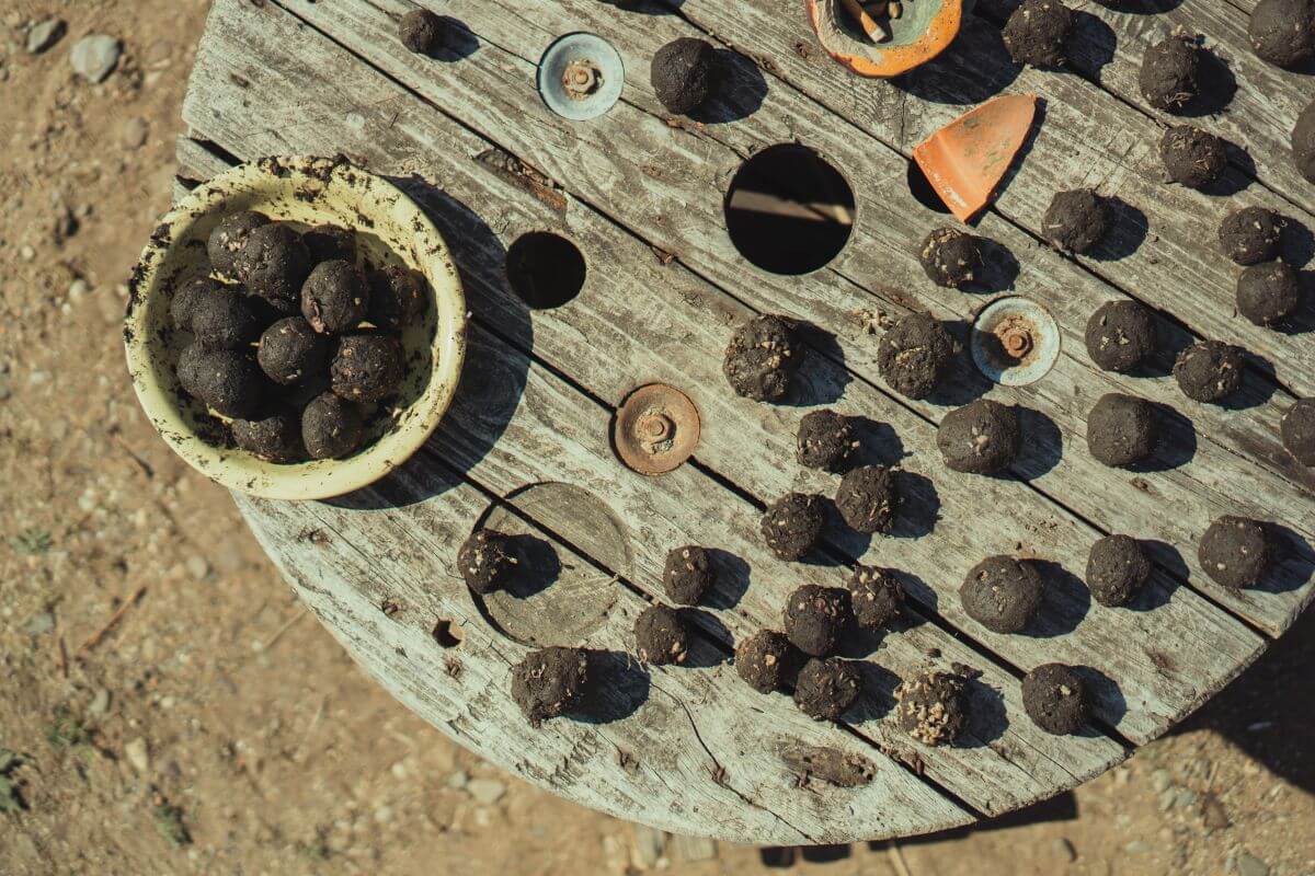 seed bombs