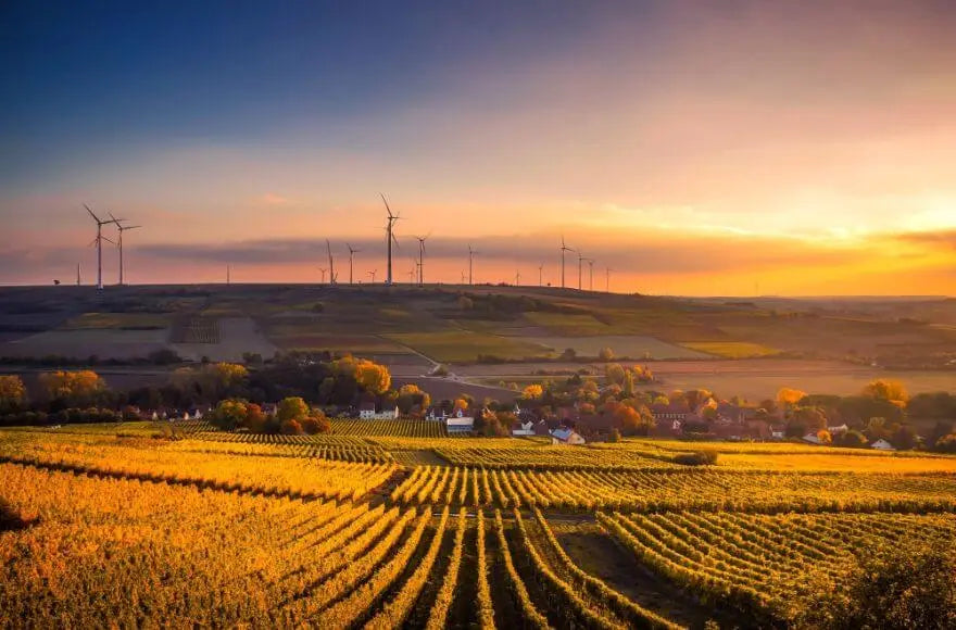 Scenic View of Agricultural Field Against Sky during Sunset