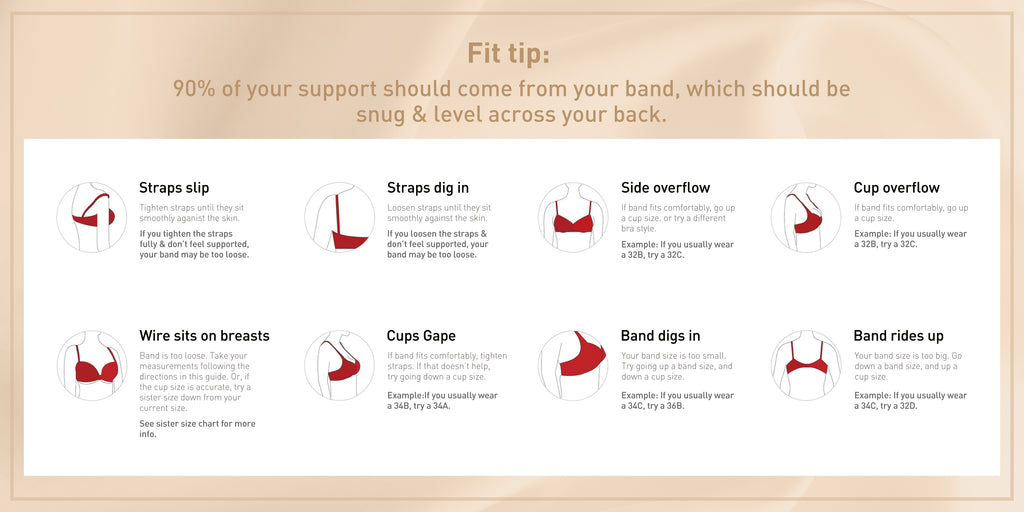 Visual Bra Size Chart & Fit Guide, Bra Sizes Chart