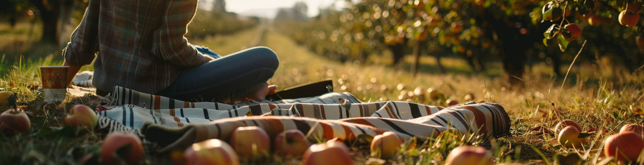 A person on a picnic blanket in an apple orchard, penning their thoughts on abundance and gratitude