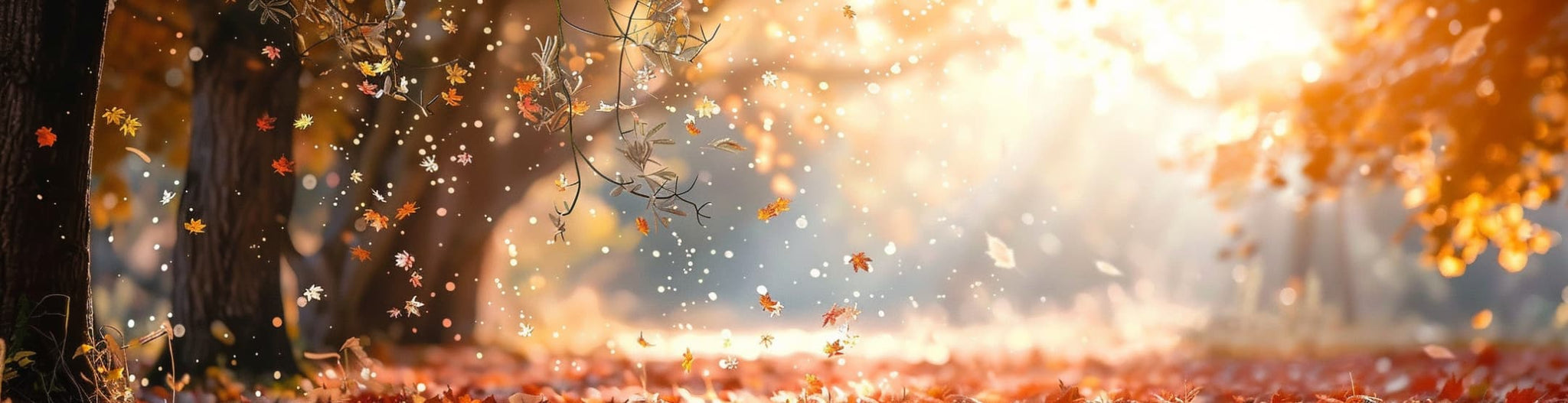 Embrace each season of your life with gratitude and grace