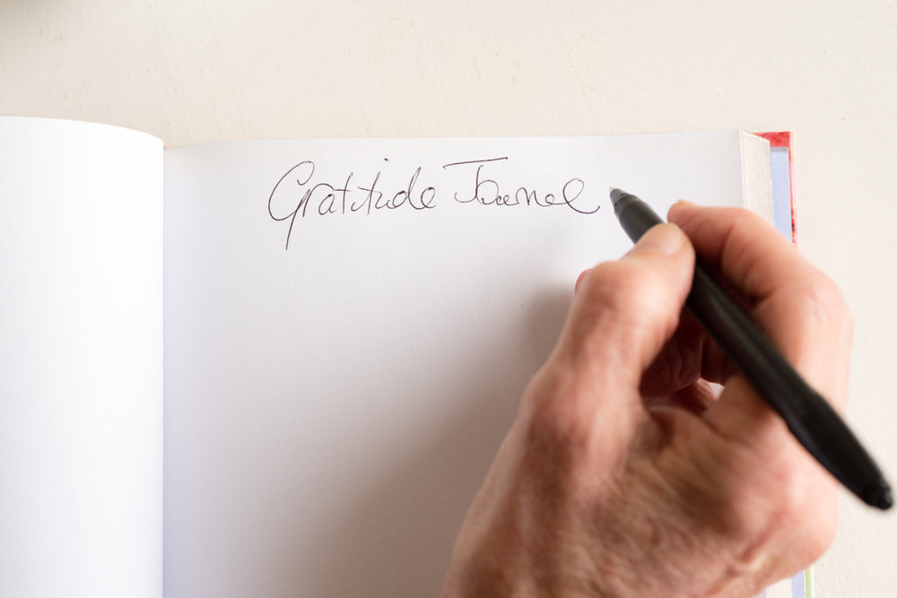 High angle view of older woman's hand holding black pen and writing in gratitude journal 