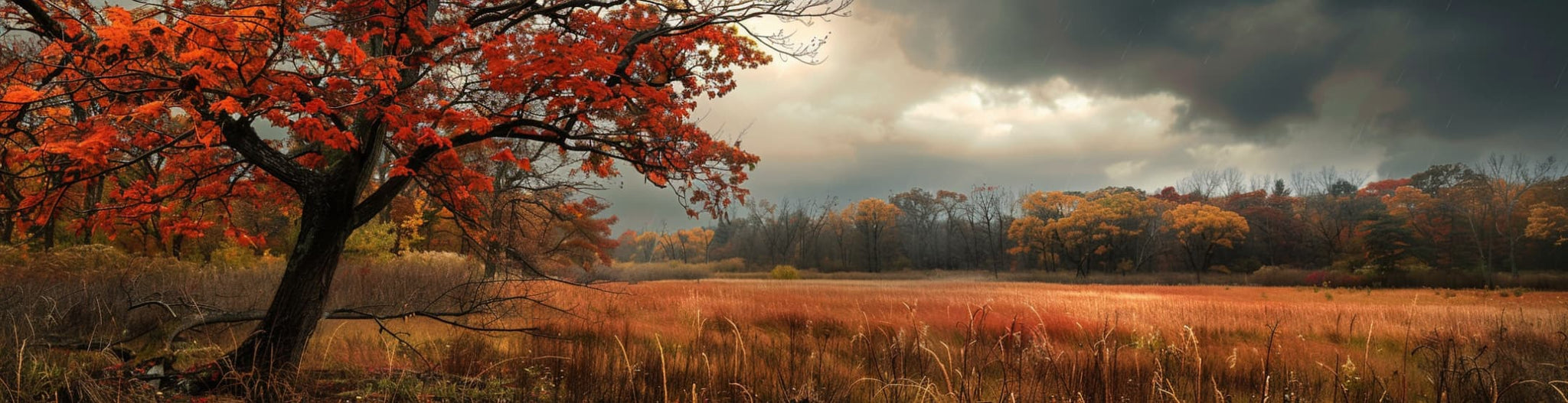 November's gray skies bring the colors of our thoughts to life