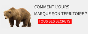 Comment L Ours Marque Son Territoire Ours Shop Fr