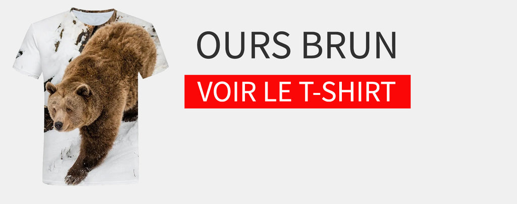 Comment L Ours Marque Son Territoire Ours Shop Fr