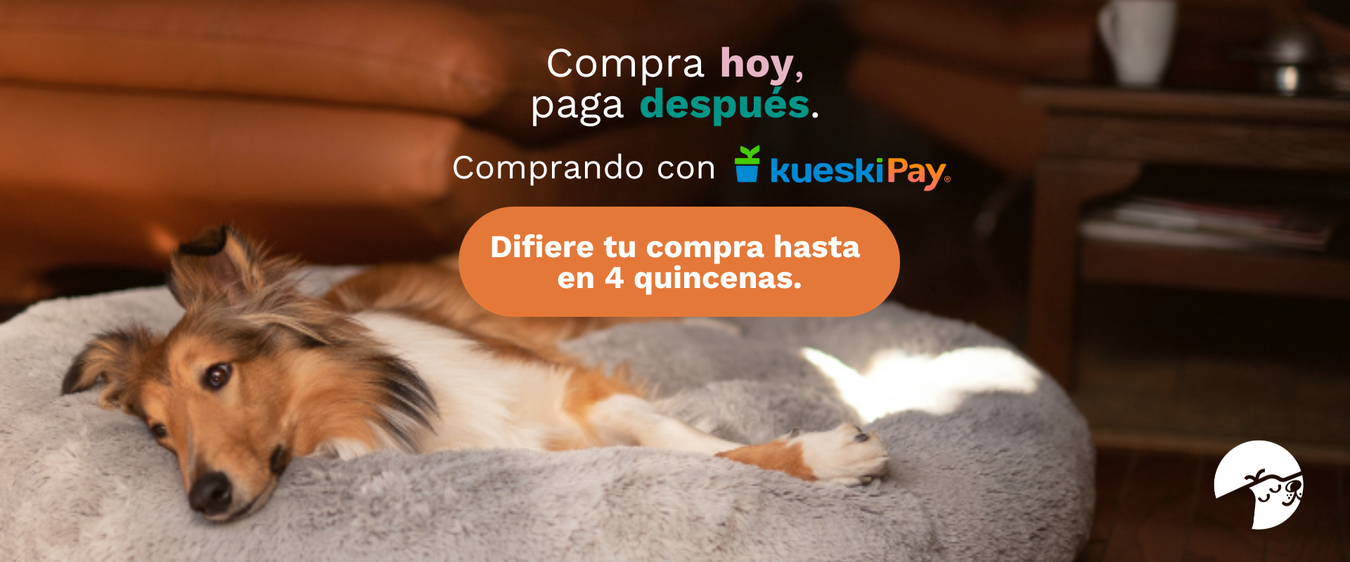 COMPRA AHORA PAGA DESPUÉS KUESKI