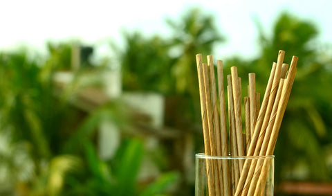 Compostable Coconut Straws