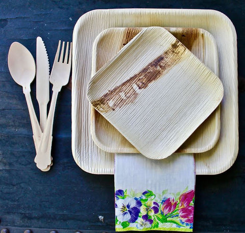 Palm Leaf plates for outdoor dining