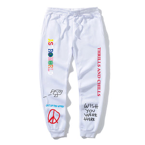 astroworld joggers