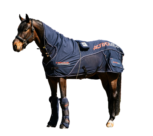 Winst Buitenlander Beleefd Magneet deken SET van Activo-Med! Koop een therapiedeken voor je paard –  Activo Med