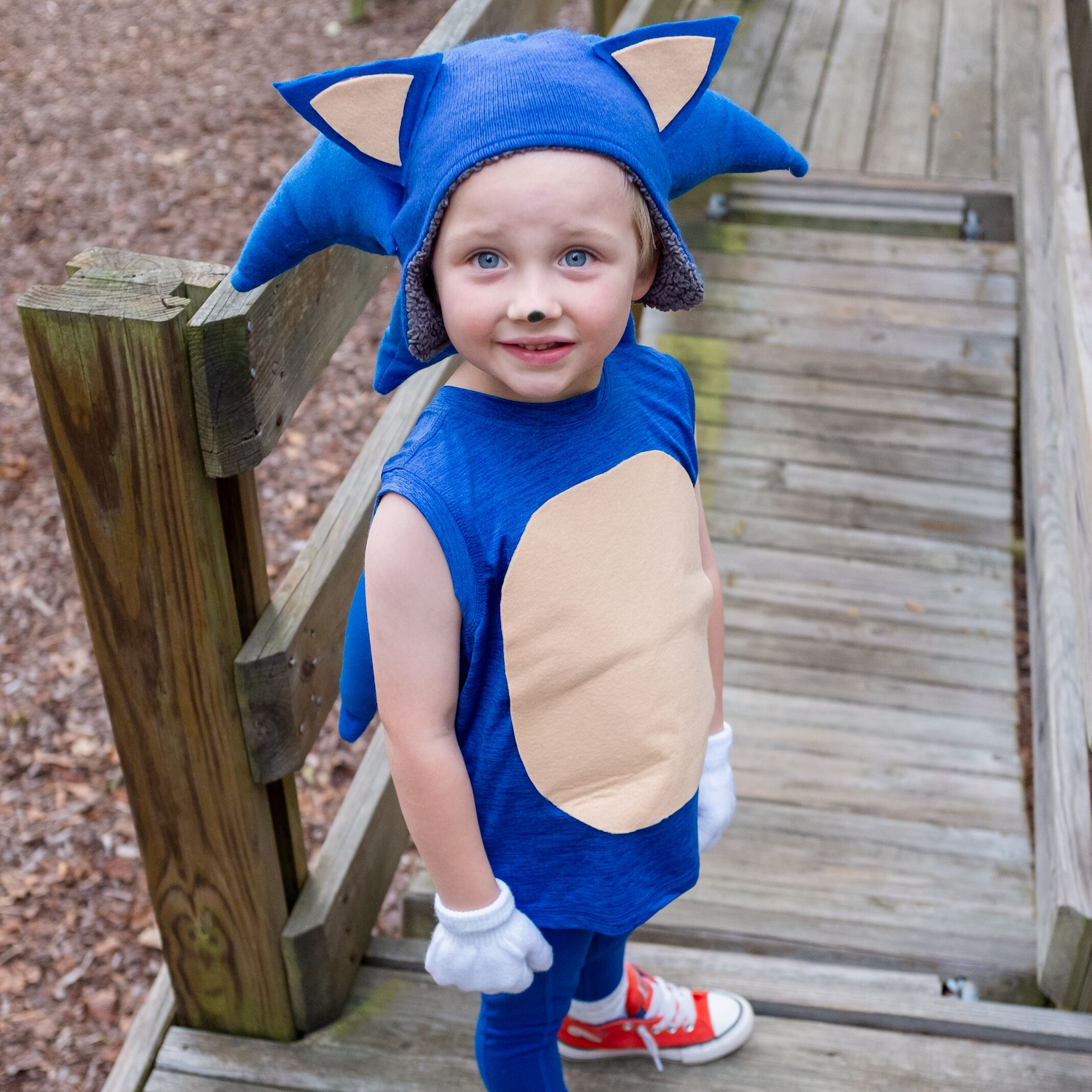 DIY Sonic Costume  