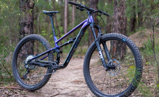 Polygon-Mountain-Bikes-Siskiu-T8-29er-Tech-2