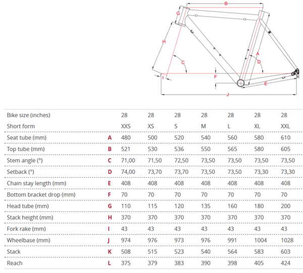 Focus road hot sale bike size chart