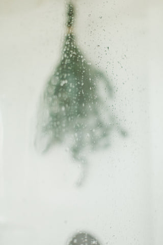 Steamy Shower with Eucalyptus Bundle for aromatherapy from Eucalypt Co.