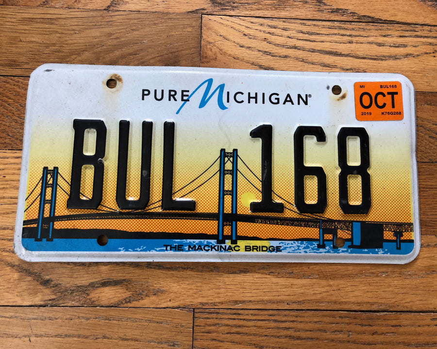 michigan license plate numbering