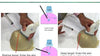 The Nuts and Bolts of Fine Needle Aspiration and Core Needle Biopsies - Efficiency Learning Systems