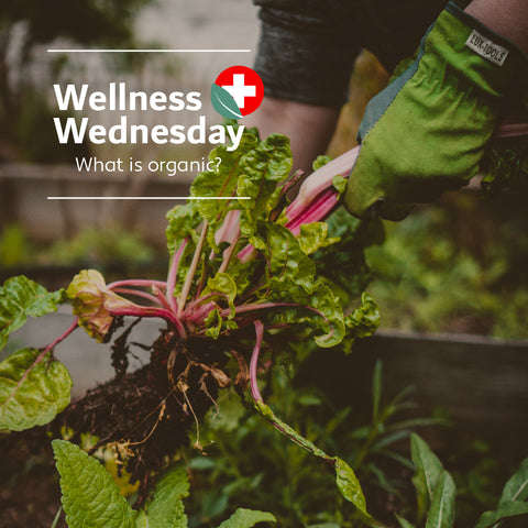 Wellness Wednesday: What is Organic?