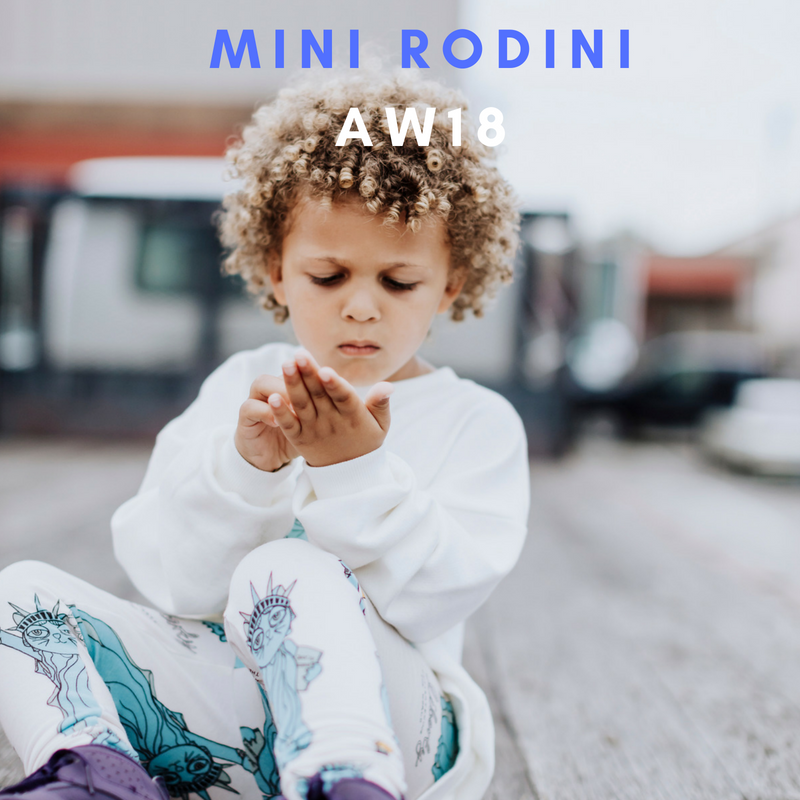 Mini Rodini