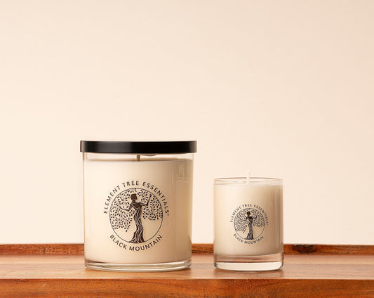 Spanish Moss Lotion Candle – Element Tree Essentials