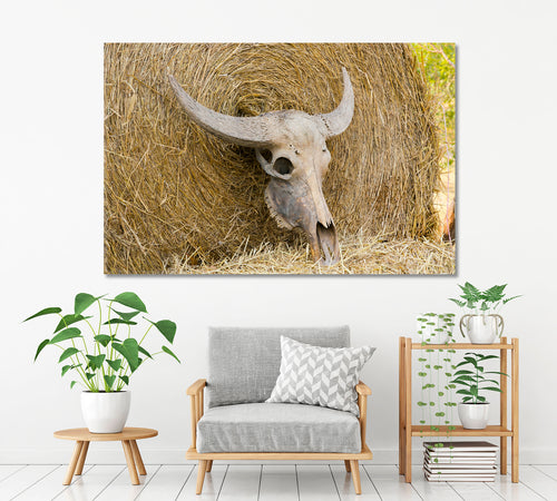 Cattle Cow Skull On Straw