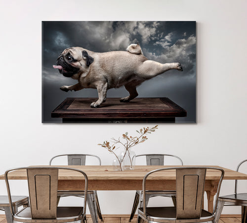 FUNNY DOGS Cool Pug