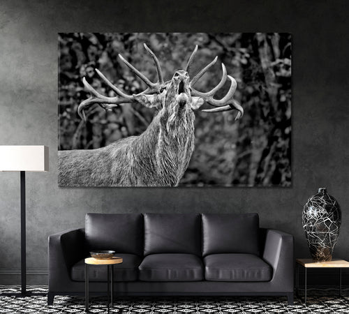 Deer Canvas Wall Art