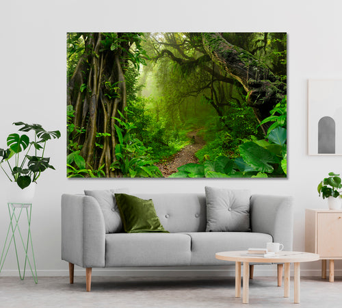 Jungle Wood Tropical Rainforest Trees Poster