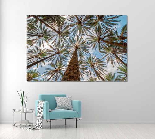 Sky & Tropical Exotic Palms Trees Panorama