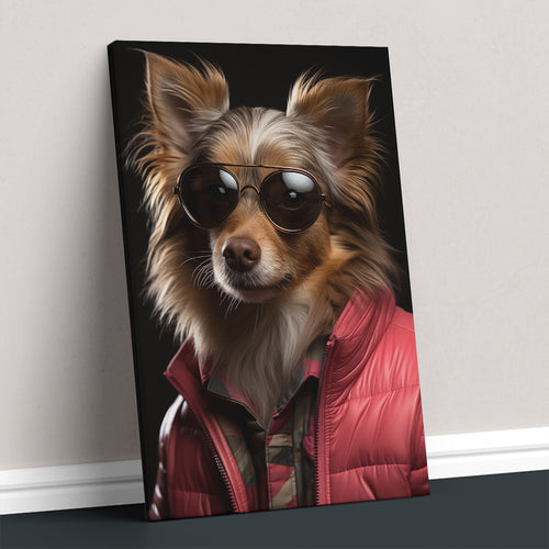 Stylish Dog in Sunglasses and Jacket
