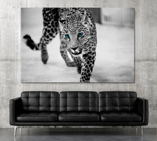 BIG WILD CAT Beautiful Leopard Portrait