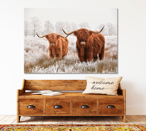 Hairy Scottish Highland Cow Winter Landscape