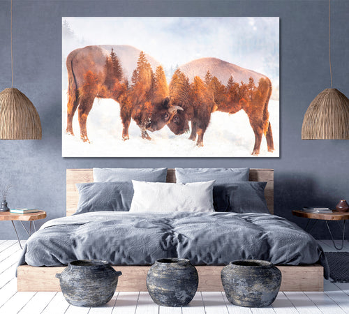 Double Exposure Two Wild Bison Fighting And Pine Trees