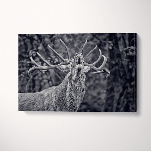 Deer Canvas Wall Art