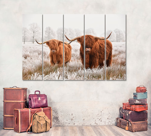 Hairy Scottish Highland Cow Winter Landscape