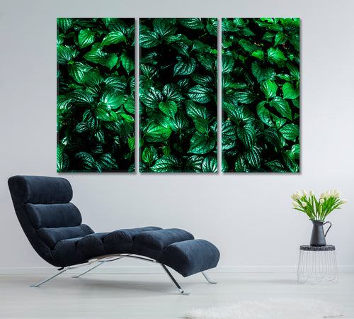 GREEN HOME Natural Tropical Leaf