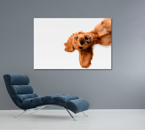 CRAZY PURE YOUTH  Funny Cute Dog Kids Room Art, Animals World