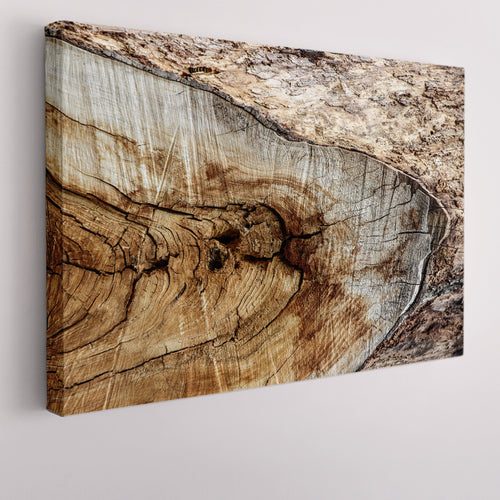 Old Tree Trunk Texture Poster