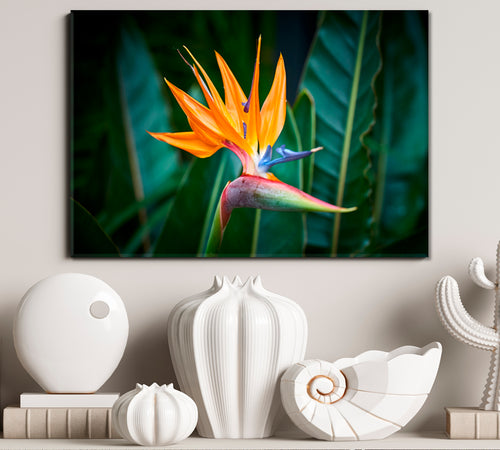 Beautiful Bird of Paradise Flower Art