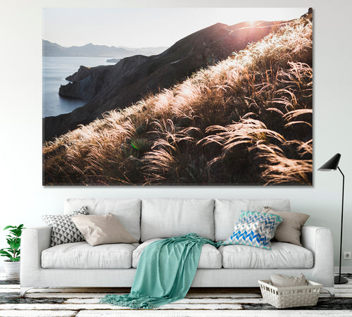 Sunset Coastline Landscape Hill Incredible Spring Field Feather Grass