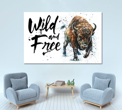 BULL Buffalo Bison Animal Wild Wildlife