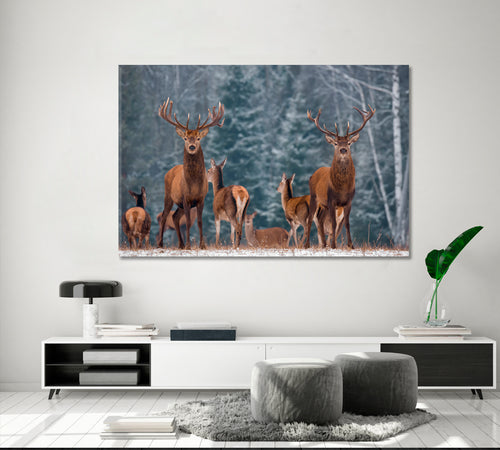 Noble Deer Winter Wildlife Landscape