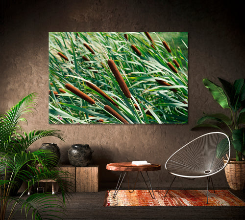 Colorful Green Reeds with Cattail