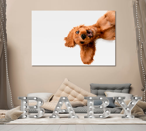 CRAZY PURE YOUTH  Funny Cute Dog Kids Room Art, Animals World