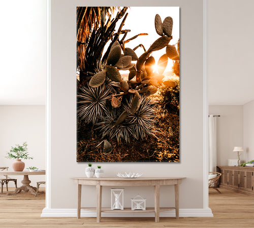 BEAUTY OF CACTUS Sunset Tropical Exotic Plants Tropical Foliage - V