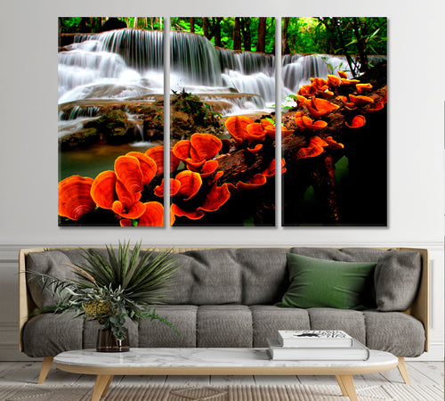 NATURE LANDSCAPE Cascade Waterfalls Orange Mushroom On Tree