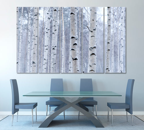 Birch Trees Forest