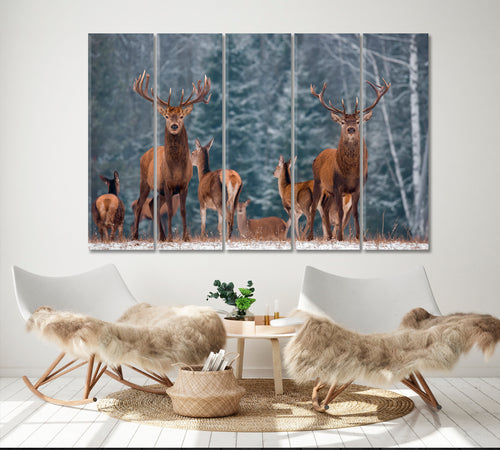 Noble Deer Winter Wildlife Landscape